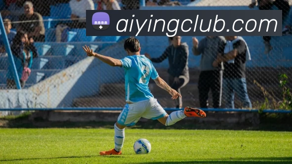 爱赢电竞俱乐部平台生态图